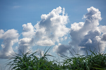 奄美大島の夏の海。