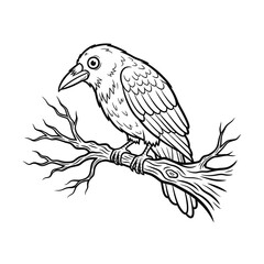 Obraz premium A detailed black and white illustration of a crow perched on a bare tree branch.