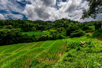 Fototapeta premium Pristine alpine lake connected to a clear river, surrounded by snow-tipped mountains and light fog.