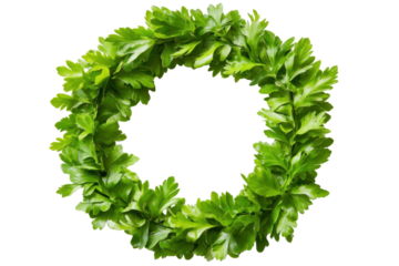Green parsley wreath shaped like the letter o isolated on transparent background. Green leaves frame isolated on white background.