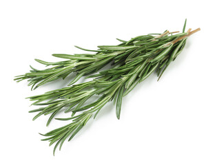 Fototapeta premium Twigs of fresh rosemary isolated on white background, closeup