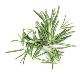 Fresh green rosemary isolated on white background, closeup