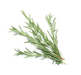 Fresh rosemary twigs isolated on white background, closeup
