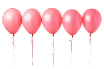 Five pink balloons tied together isolated on transparent background. Pink balloons isolated on white background.