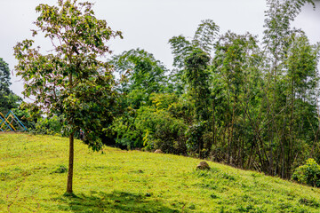 Pristine alpine lake connected to a clear river, surrounded by snow-tipped mountains and light fog.