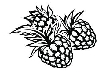 Obraz premium Three Black Raspberries with Leaves Isolated on White Background,