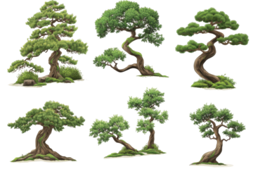 Collection of six stylized bonsai trees isolated on transparent background. Set of green tree isolated on white background.
