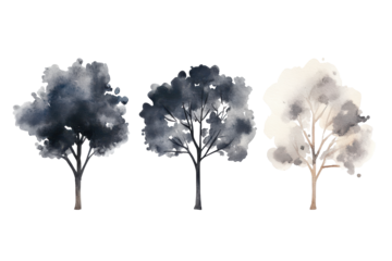 Three stylized trees with textured foliage isolated on transparent background. Set of trees watercolor isolated on white background.