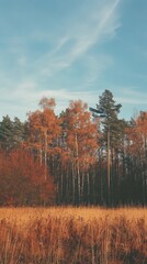 Fototapeta premium Autumn tree land landscape.