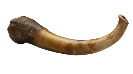 A shofar ram's horn for Rosh Hashanah and Yom Kippur, a sacred Jewish instrument for the High Holy Days, a symbol for prayer and repentance, a holy religious object isolated on white.
Transparent.