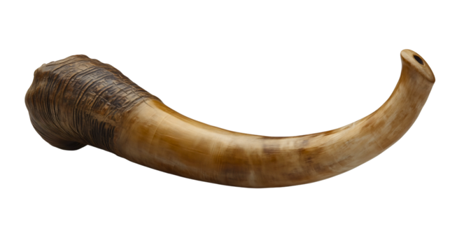A shofar ram's horn for Rosh Hashanah and Yom Kippur, a sacred Jewish instrument for the High Holy Days, a symbol for prayer and repentance, a holy religious object isolated on white.
Transparent.