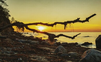 Fototapeta premium Beautiful sunset on the wild Baltic Sea cliff beach on the island of Poel