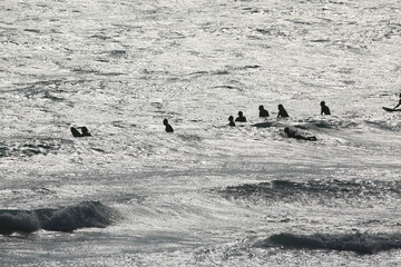 surf