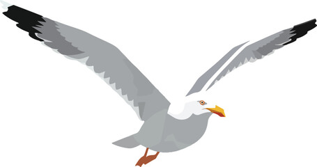 Fototapeta premium Web