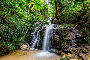 The natural backdrop of a waterfall in a deep forest or a reservoir by a stream, the beauty of the ecosystem, the green forest, the cool air during an adventurous trip.