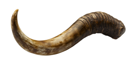 A shofar ram's horn for Rosh Hashanah and Yom Kippur, a sacred Jewish instrument for the High Holy Days, a symbol for prayer and repentance, a holy religious object isolated on white.
Transparent.