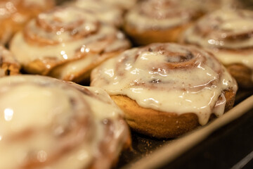 cinnamon buns with delicious cream just from the oven
