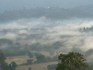 Mountain view and morning mist at Phu Langka National Park, Phayao Province, Thailand.