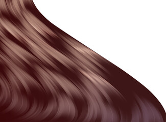 艶のある長い髪の毛のイラスト