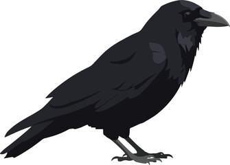 Fototapeta premium Web