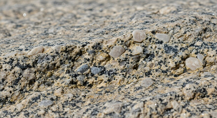 Textured Rock Surface Showing Granular Mineral Composition Close Up