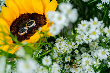 bee on a flower wedding ring Trang, Thailand 92000