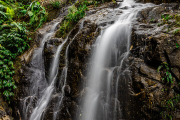 Obraz premium The natural backdrop of a waterfall in a deep forest or a reservoir by a stream, the beauty of the ecosystem, the green forest, the cool air during an adventurous trip.