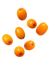 Levitation of sea buckthorn berries with natural texture, isolated on transparent background for skincare design.