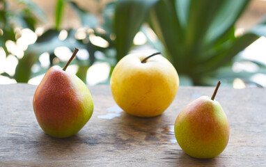 Various pears rolled on the board.