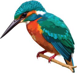 Fototapeta premium Vector color kingfisher logo art