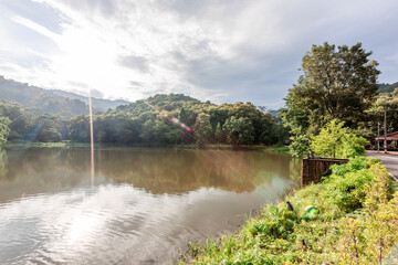 Fototapeta premium The natural background of many kinds of trees growing along the edge of a large reservoir, mountains, rivers, is a rich ecosystem that is home to many kinds of wildlife.