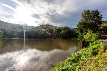 Fototapeta premium The natural background of many kinds of trees growing along the edge of a large reservoir, mountains, rivers, is a rich ecosystem that is home to many kinds of wildlife.