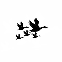 Mother bird guiding chicks in formation flight silhouette isolated on white background