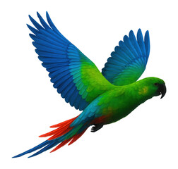 Obraz premium Silhouette of a flying parrot with colorful plumage