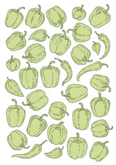 Fresh green bell peppers and chili peppers arranged in a delightful, clean pattern for vibrant culinary designs