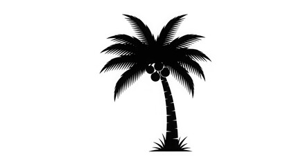 Elegant Palm Tree Silhouette Graphic
