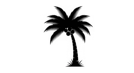 Elegant Palm Tree Silhouette Graphic