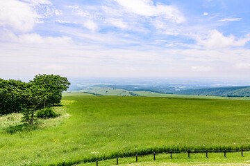 青空のナイタイ高原牧場
