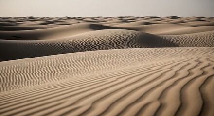 Desert Sand Dunes Landscape.