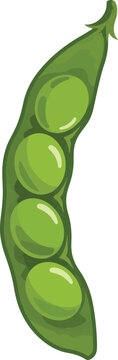 green pea pod with peas clip art preview