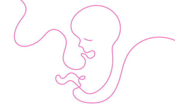 grafica, disegno, feto, bambino,, stilizzato, linea, linea singola,, filo, gravidanza, maternit&agrave;