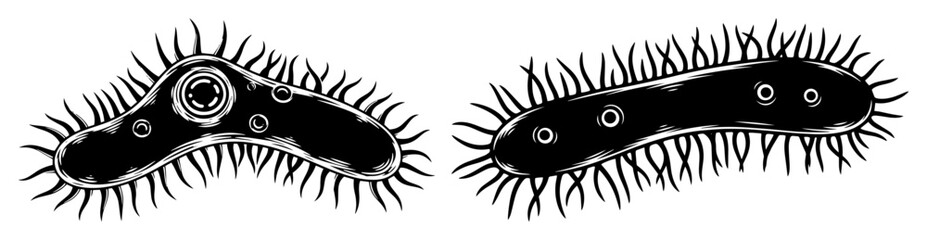 Bacteria microorganism sketch vector illustration