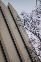 A low-angle view of a modern building with a geometric design and sleek lines. A bare tree with...