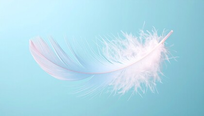A single feather floats against a pale blue background, its gradient shifting from soft pink to icy blue—evoking fragility, serenity, and suspended transformation in an atmosphere of quiet grace.