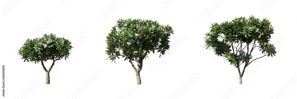 Poster cut out realistic greenery trees collection on transparent backgrounds. high quality 3d rendering. p
