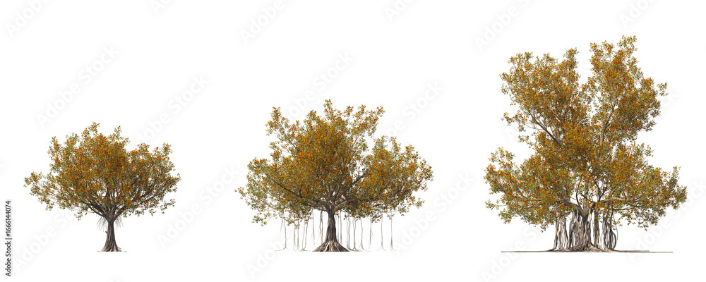 Poster cut out realistic autumn trees collection on transparent backgrounds. high quality 3d rendering. png