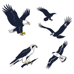 Obraz premium Majestic eagle and crow flock vector illustration scalable graphic for premium design projects