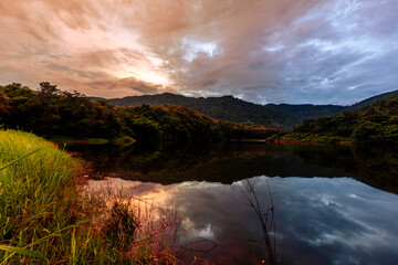 The natural background of many kinds of trees growing along the edge of a large reservoir,...