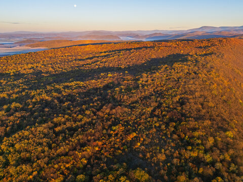Aerial view of autumn's fiery canopy blankets the landscape, casting long shadows over the rolling hills, Ple&Aring;&iexcl;ivec, Ko&Aring;&iexcl;ice Region, Slovakia.