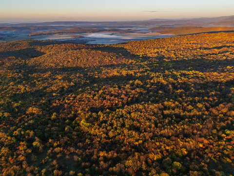 Aerial view of vast forests painted in autumnal hues under a soft, pastel sky, with distant hills veiled in a gentle mist, Ple&Aring;&iexcl;ivec, Ko&Aring;&iexcl;ice Region, Slovakia.